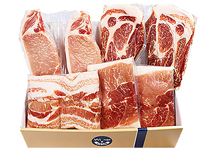 G02-阿波美豚しゃぶしゃぶセット